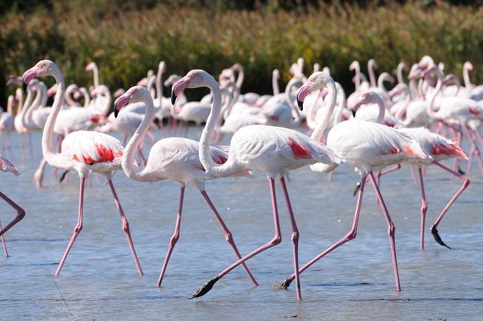 Appartamenti Le Rondini Cagliari Pokoj fotografie