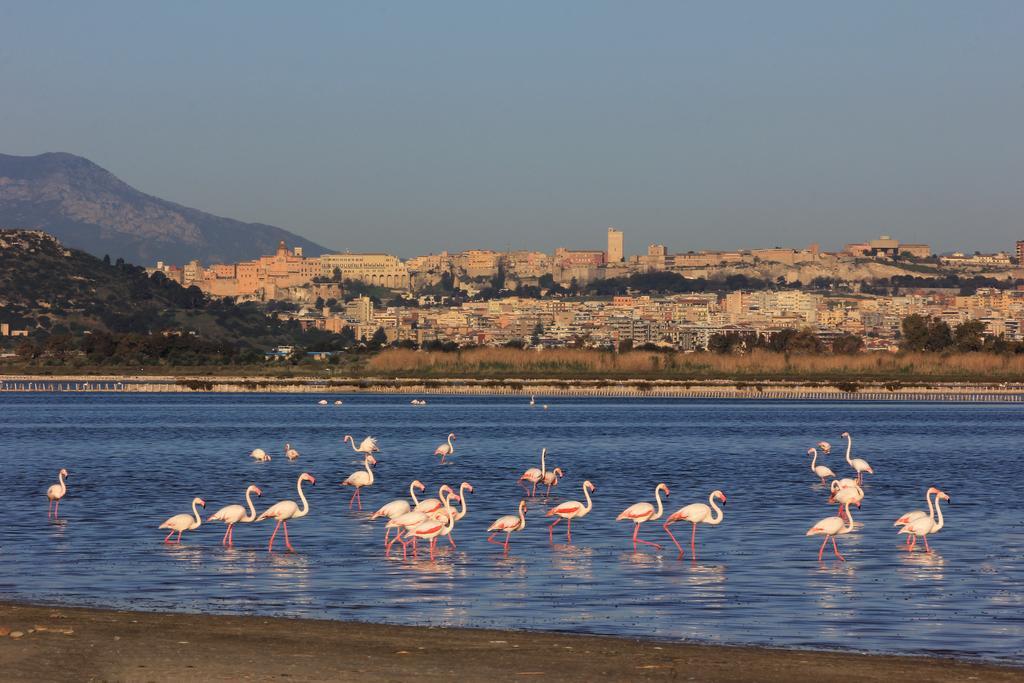 Appartamenti Le Rondini Cagliari Exteriér fotografie